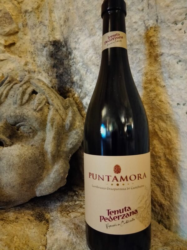 Lambrusco Grasparossa di Castelvetro doc