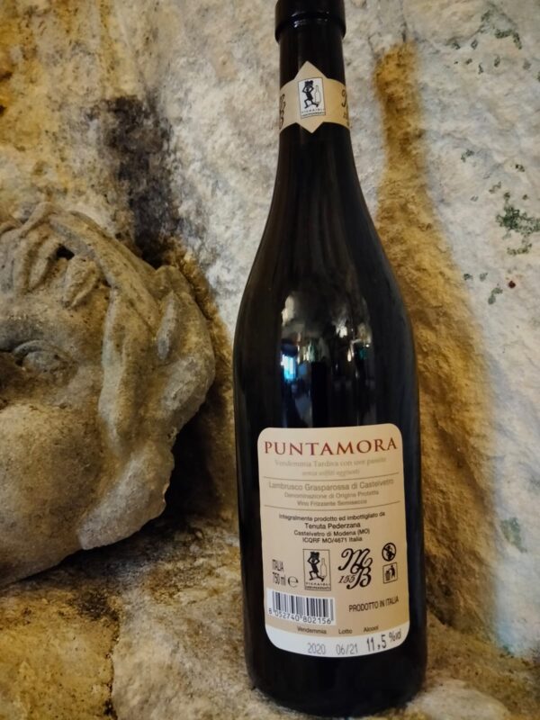 Lambrusco Grasparossa di Castelvetro doc - immagine 2