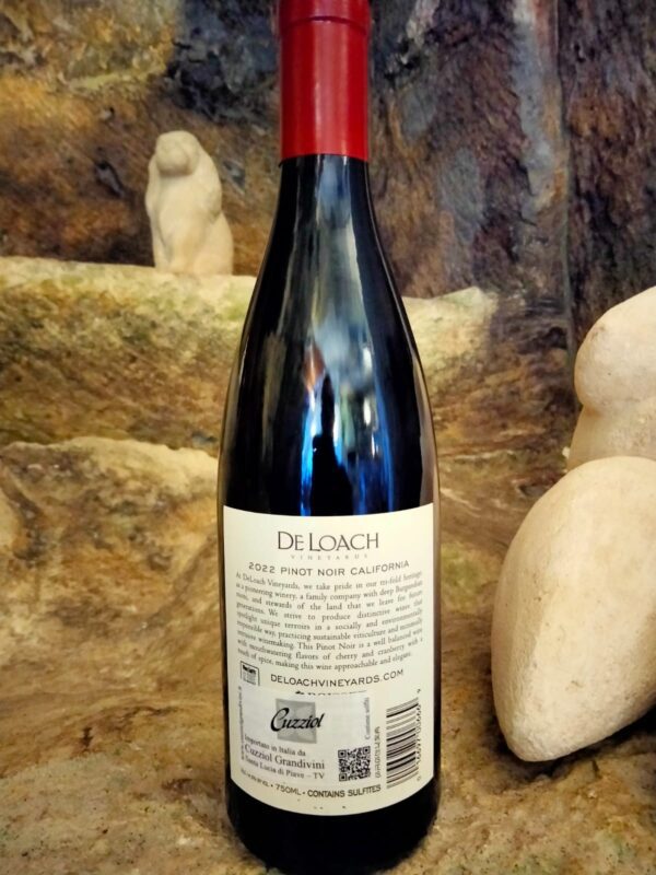 PINOT NOIR DELOACH - immagine 2