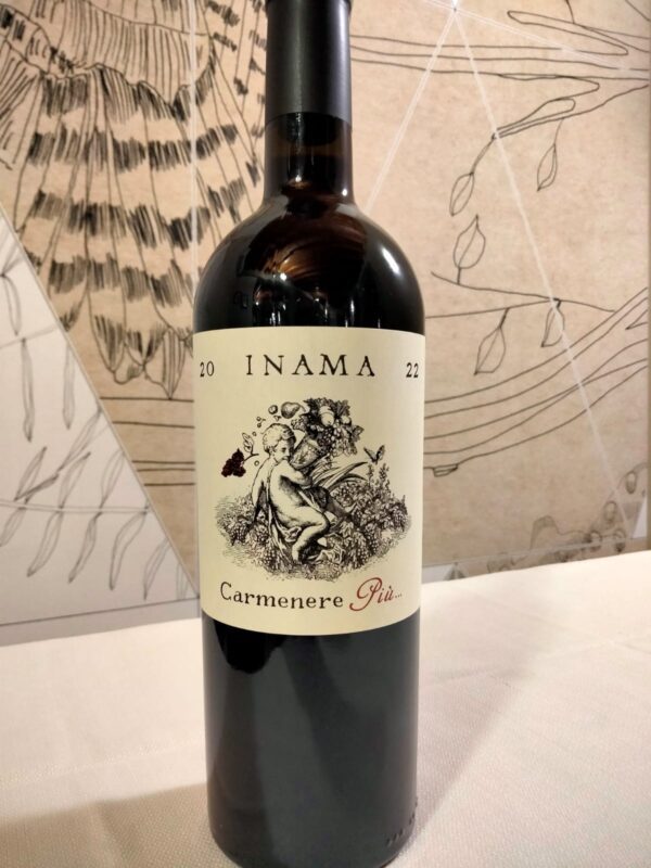 CARMENERE PIU' INAMA